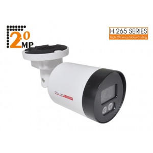 SP-221B (OEM) 2.0 MP 3,6 MM...