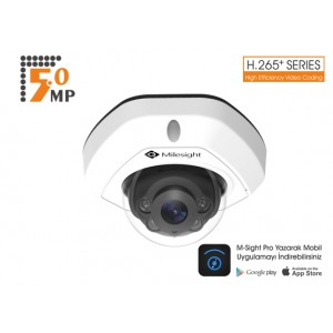 MILESIGHT MS-C2973-PB 2.0...